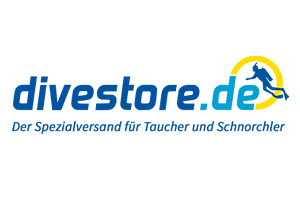Shopware SEO - Suchmaschinenoptimierung Divestore.de