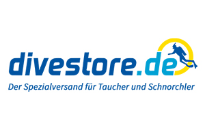 divestore-logo Shopware SEO - Suchmaschinenoptimierung Divestore.de